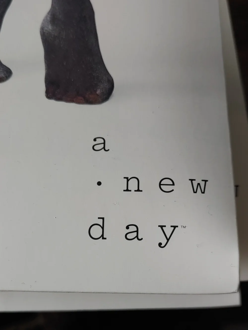 a new day newer tags